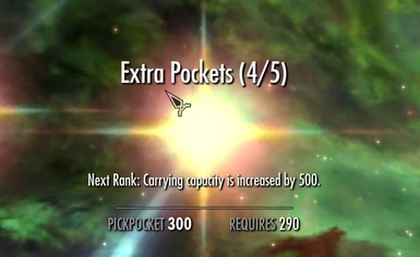 Extra Pockets Perk