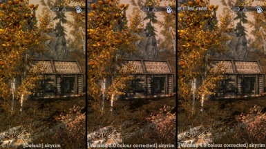 forest hut comparison