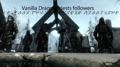 Vanilla Dragonpriests followers