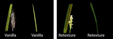 Vanilla vs Retexture 2