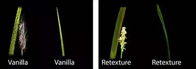 Vanilla vs Retexture 2