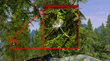 Zoomed Dandelion Seed