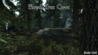 Flood Tree Cave 01