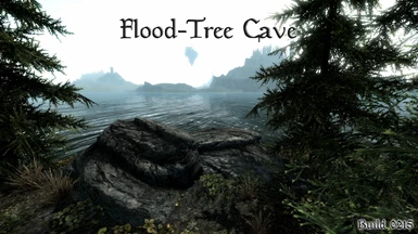Flood Tree Cave 02