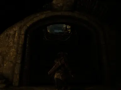 Dungeons get dark -- bring a torch