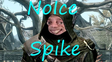No Ice Spike