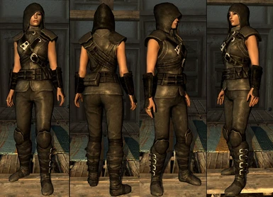 Variant Thieves Guild Armor for female