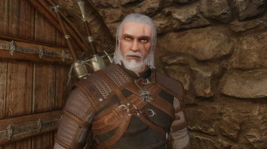 Geralt v1_9
