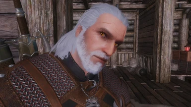 Geralt v1_9
