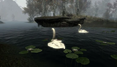 Swans Retextured
