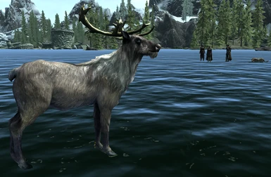 cast on a swimming deer