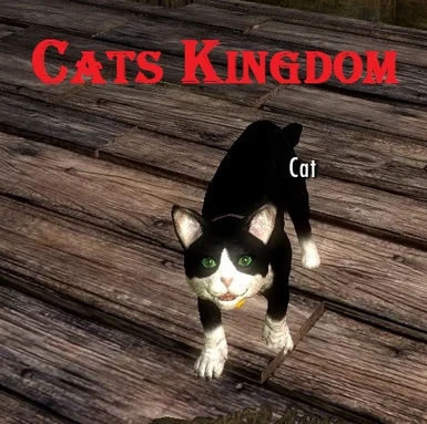 Cats kingdom
