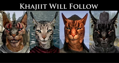 Khajiit Will Follow