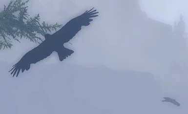 Flying Ravens