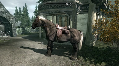 HSCH Heljarchen Horse without IC Patch