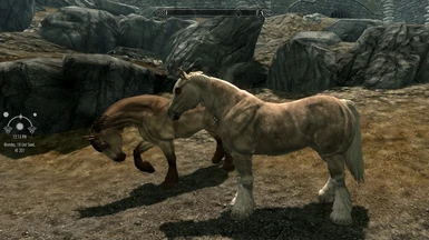 HS10 Whiterun Dun and Outdated Palomino