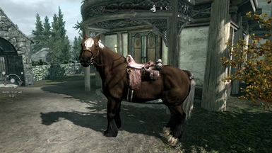 HSCH Windstad Horse without IC Patch