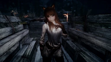 The Wise Wolf Holo - a Spice and Wolf follower