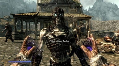 Draugr Overlord