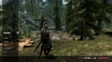 how to set carry weight in skyrim