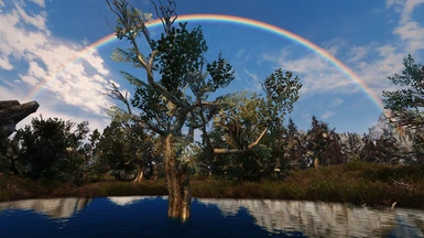 Green Reach Trees in Morthal Swamp rainbow