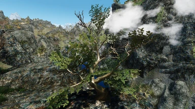 green reach cliff tree