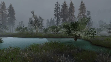 Green Reach Trees in Foggy swamp