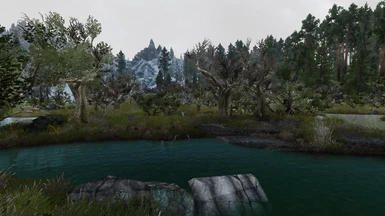 Green Reach Trees in Morthal Swamp