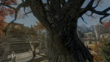 COT with RealVision ENB- dead tree