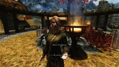 skyrim nexus relationship dialogue overhaul