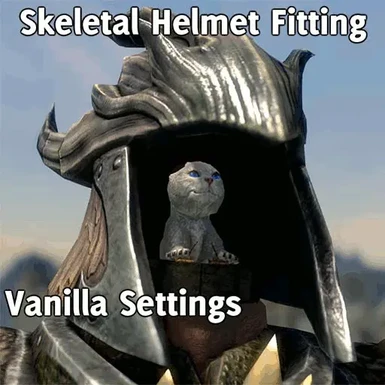 Skeletal Helmet Fitting - Tutorial