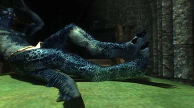 Argonian Feets Side view