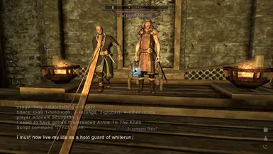 Arrow To The Knee Lol