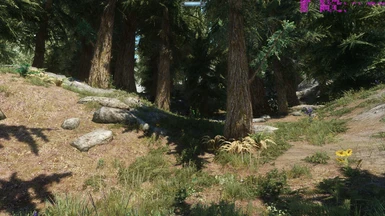 Large Lush trees with Enhanced Landscapes and DynDoLod