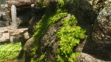 Skyrim Landscape Overhaul - Stone Walls