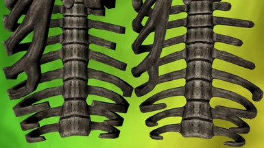 Mammoth Ribcage Broken Before After
