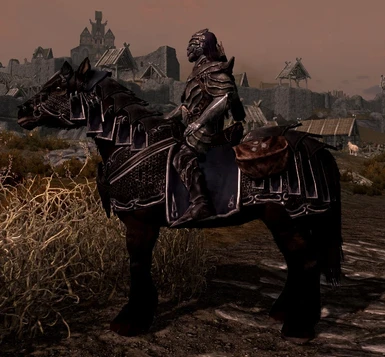 Ebony Armored Horse