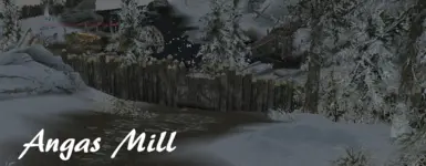 Angas Mill 03