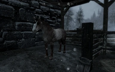 Windhelm Stable