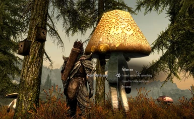 Giant Mushrooms Followers