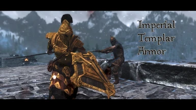 Imperial Templar Armor