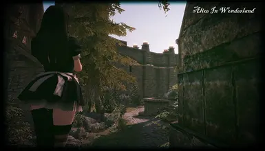 Alice: Madness Returns Nexus - Mods and community