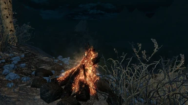 Enjoying the scenery with a warm fire in Enderal