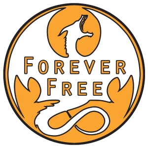 fOREVE FREE