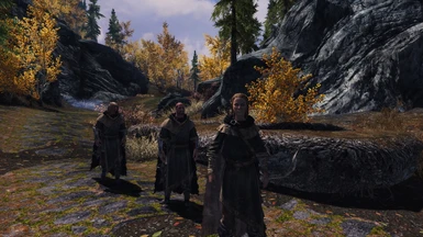 Riften Patrol - A Vigilant of Stendarr with two Recruits