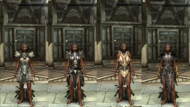 Bingles Female Armor