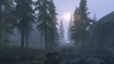 ELFX Weathers Fog Sunrise 2