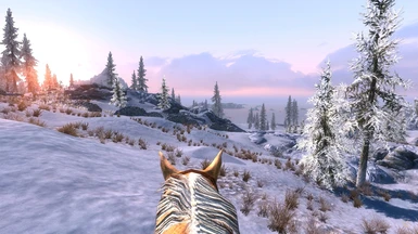 first person view horse riding and ELFX weathers