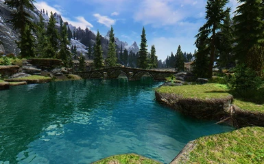 Skyrim with CoT - Water Patch Test