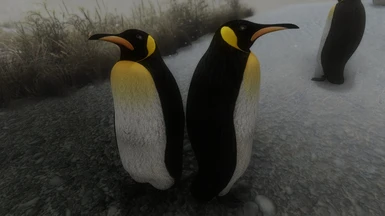 Snow Penguins